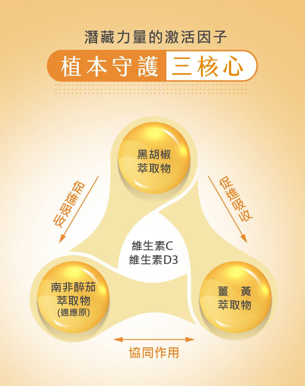 活力禦首銷售頁-06