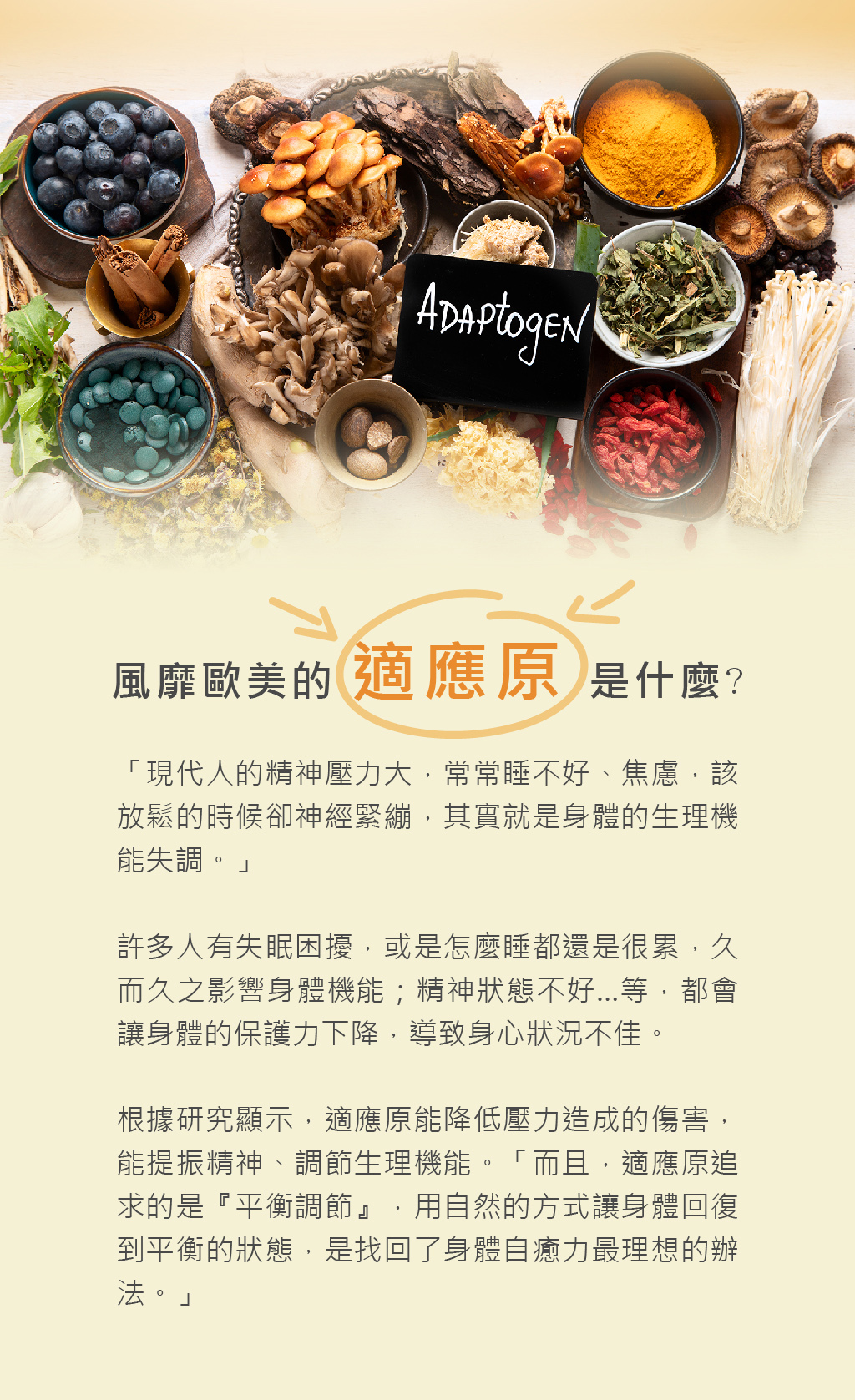 活力禦首銷售頁-07