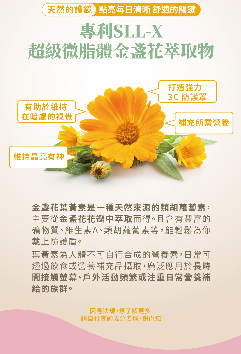 燃厚解點饞巧克力禮盒銷售頁_主視覺_25