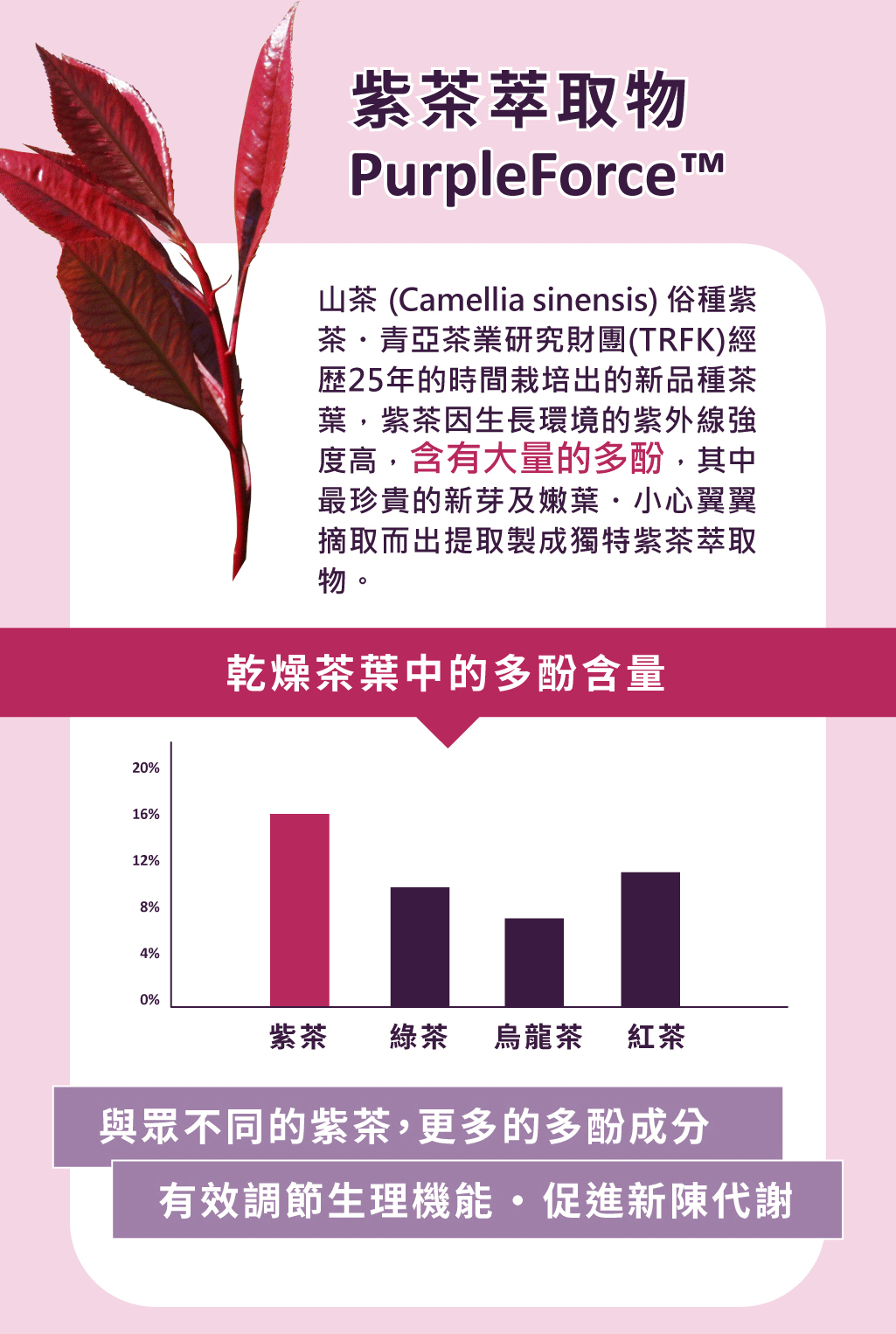 燃厚解點饞巧克力禮盒銷售頁_主視覺_35