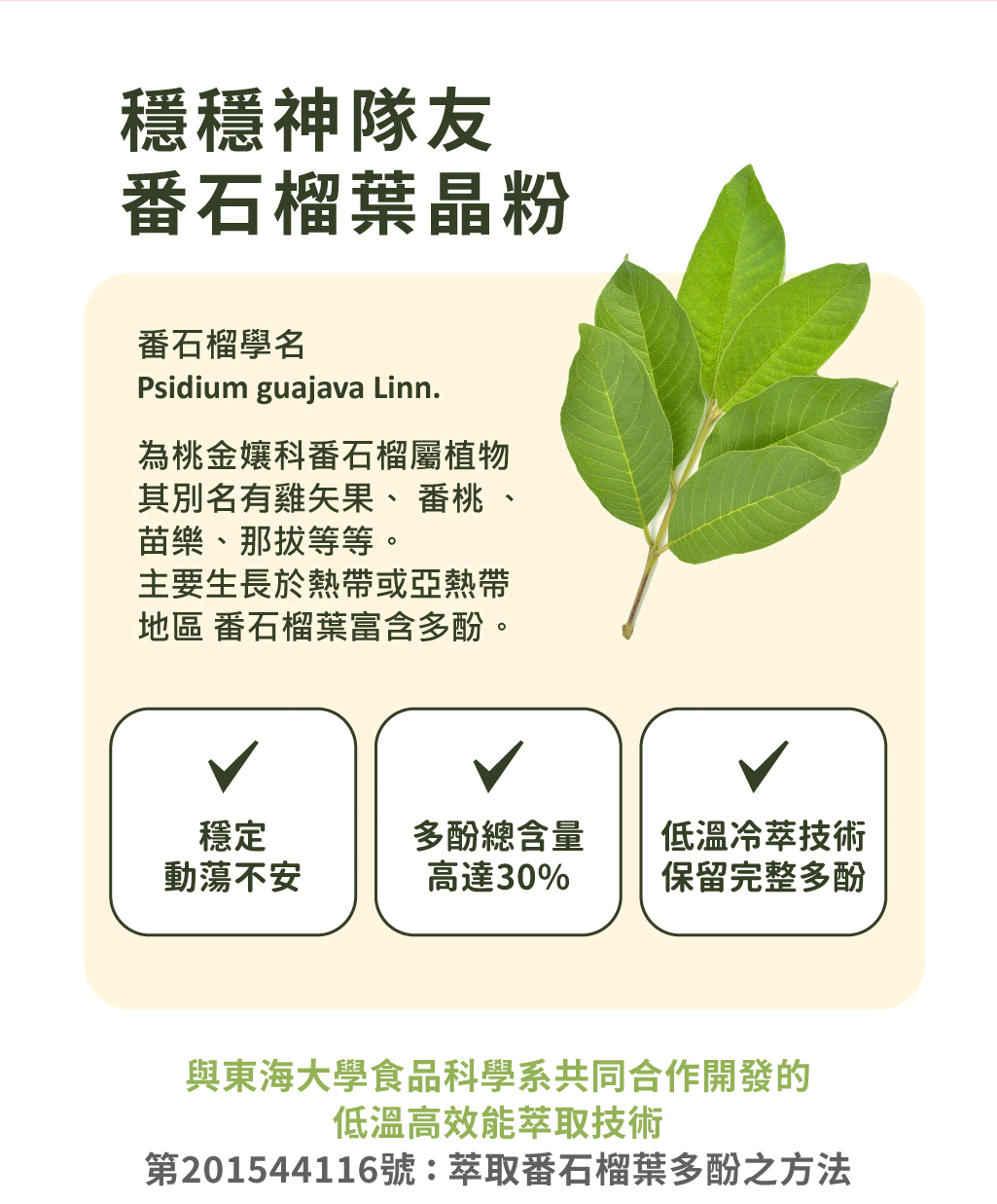 燃厚解點饞巧克力禮盒銷售頁_主視覺_37