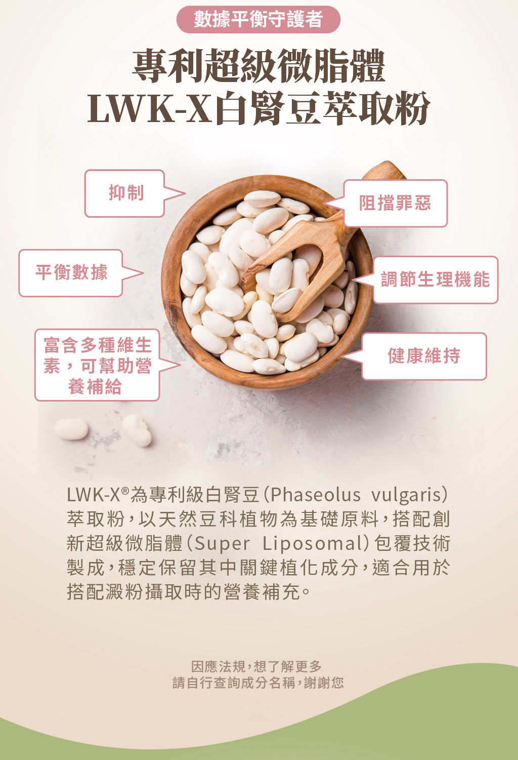 草莓果乾銷售頁_72%燃莓至極_09