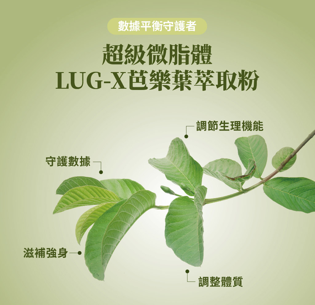 草莓果乾銷售頁_72%燃莓至極_10