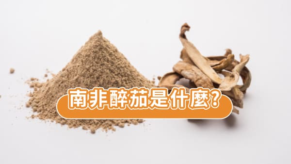 南非醉茄（Ashwagandha）是什麼？