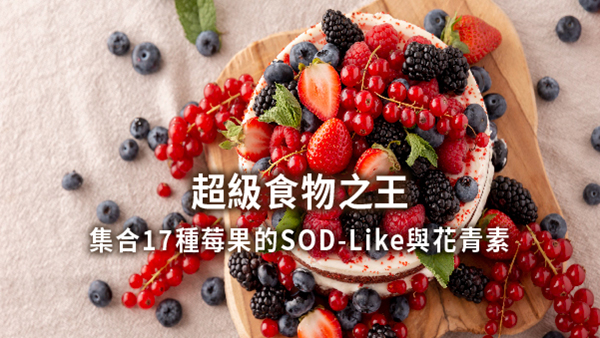 集合17種莓果的SOD-Like與花青素，超級食物之王！