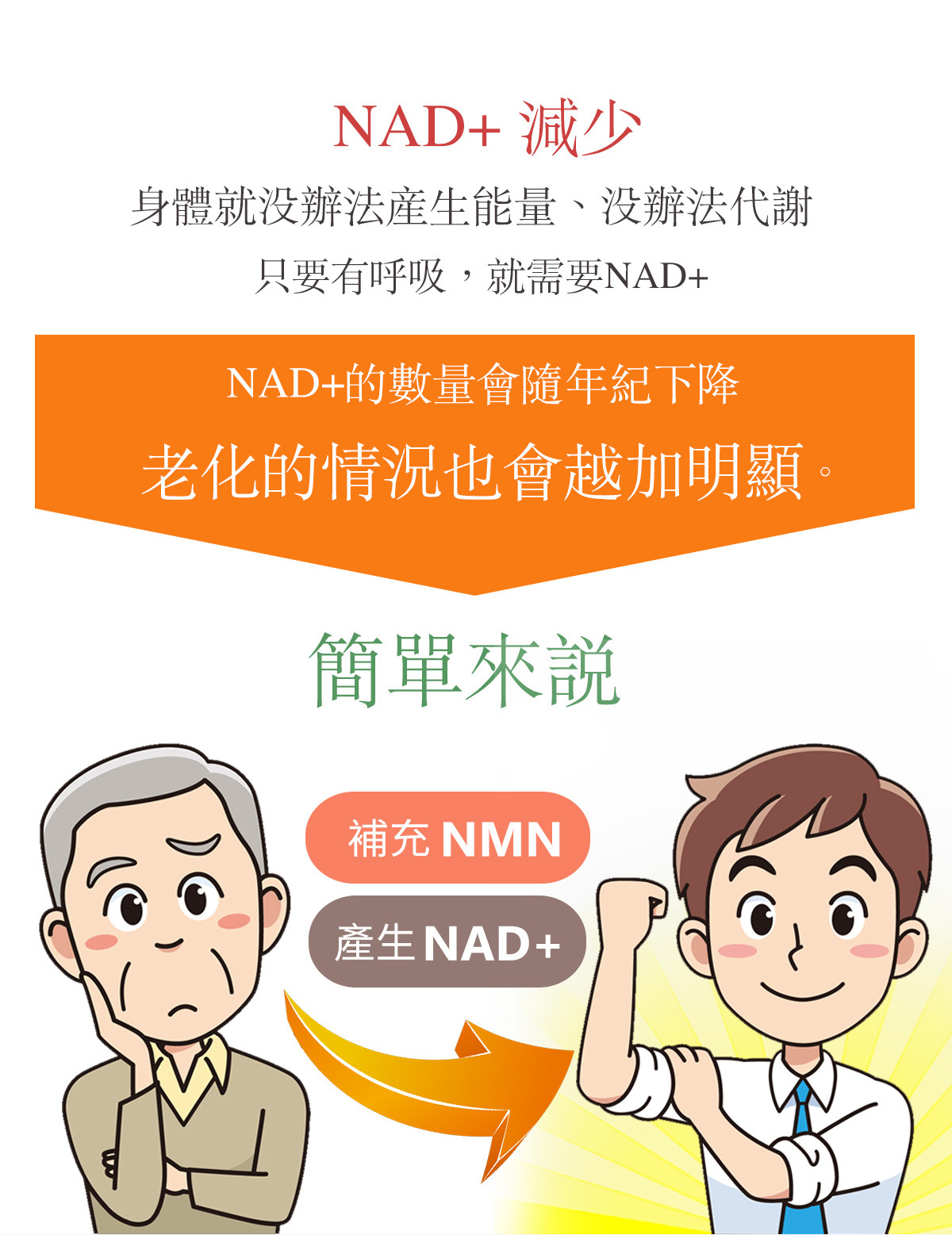 NMN官網介紹頁-7