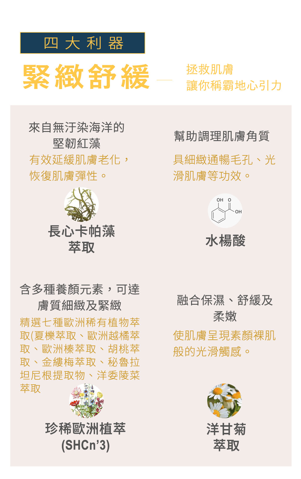 We Charming 黑蜂蜜金箔激光凍膜-緊緻舒緩四大成分(長心卡帕藻萃取、水楊酸、珍稀歐洲植萃、洋甘菊萃取)